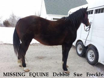 MISSING EQUINE Debbie Sue Freckles, Near Kingsvillle, MO, 64061